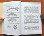 Dienstvorschrift H.Dv. 11/2 Truppenpferd Pferd Anatomie, Krankheit, Futter, historisches Pferdewissen
